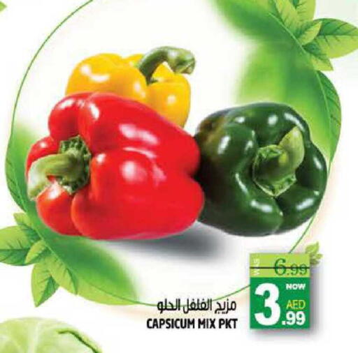 Capsicum available at هاشم هايبرماركت in الإمارات العربية المتحدة , الامارات - الشارقة / عجمان