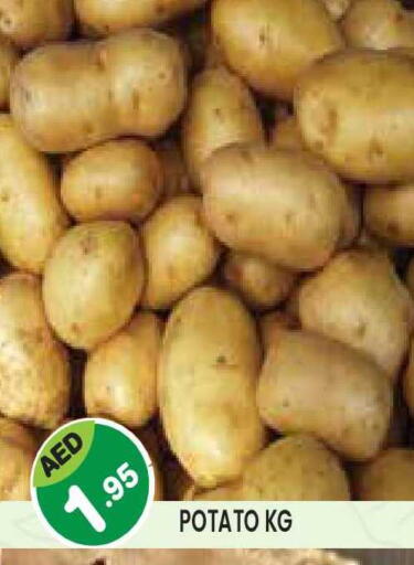 Potato available at Baniyas Spike  in UAE - Fujairah