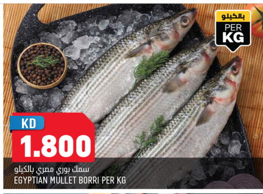 available at أونكوست in الكويت - مدينة الكويت