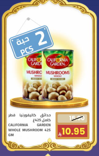 Mushroom available at أسواق أسترا in مملكة العربية السعودية, السعودية, سعودية - تبوك