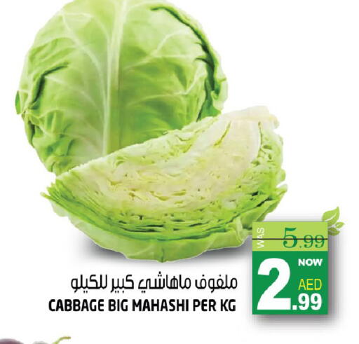 Cabbage available at هاشم هايبرماركت in الإمارات العربية المتحدة , الامارات - الشارقة / عجمان