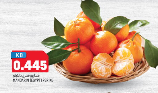 Mandarin from Egypt available at Oncost in Kuwait - Ahmadi Governorate