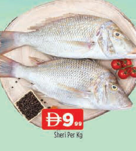 available at المدينة in الإمارات العربية المتحدة , الامارات - دبي