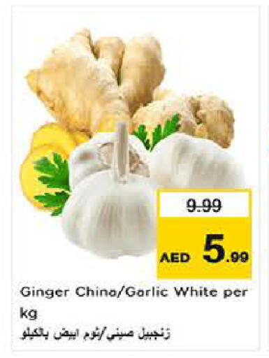 Ginger Garlic from China available at لاست تشانس in الإمارات العربية المتحدة , الامارات - ٱلْفُجَيْرَة‎