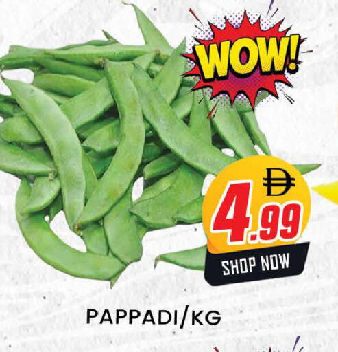 available at المدينة in الإمارات العربية المتحدة , الامارات - دبي