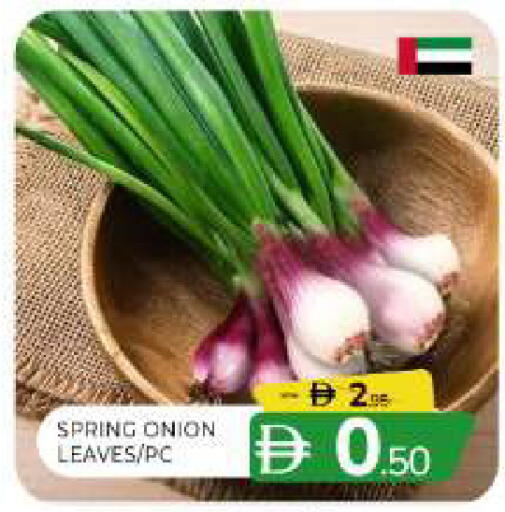 Onion available at المدينة in الإمارات العربية المتحدة , الامارات - الشارقة / عجمان