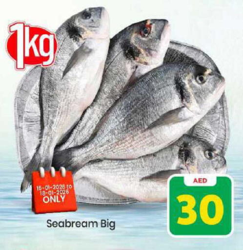 available at مارك & سيف in الإمارات العربية المتحدة , الامارات - الشارقة / عجمان