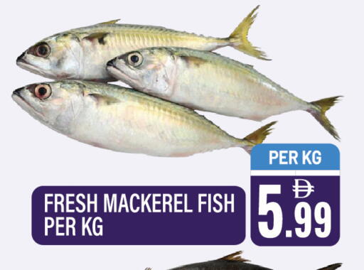 available at Dream Land in UAE - Sharjah / Ajman