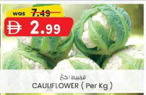 Cauliflower available at ك. الم. للتجارة in الإمارات العربية المتحدة , الامارات - أبو ظبي