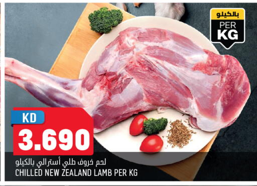 available at أونكوست in الكويت - محافظة الأحمدي