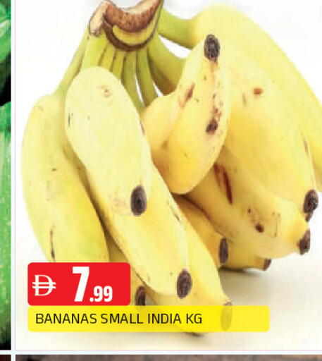 from India available at AL MADINA in UAE - Sharjah / Ajman