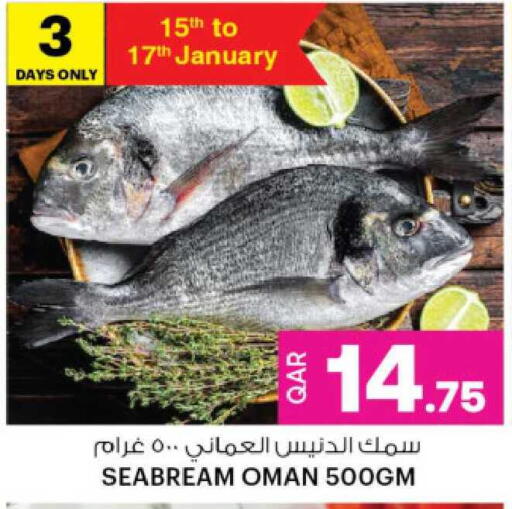 available at أنصار جاليري in قطر - الريان