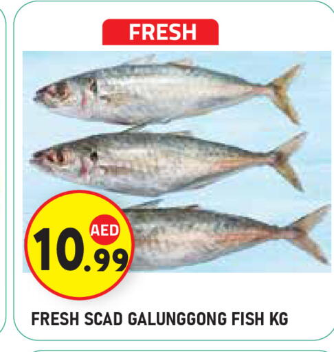 available at Baniyas Spike  in UAE - Abu Dhabi