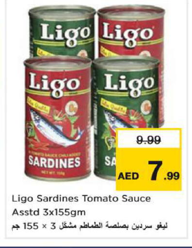 Tomato available at Nesto Hypermarket in UAE - Fujairah