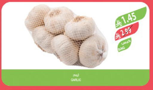 Garlic available at المزرعة in مملكة العربية السعودية, السعودية, سعودية - المنطقة الشرقية