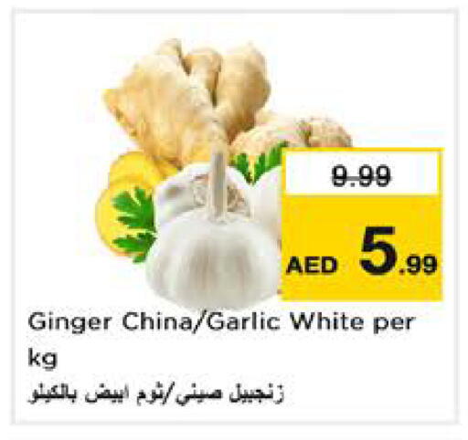 Ginger Garlic from China available at نستو هايبرماركت in الإمارات العربية المتحدة , الامارات - الشارقة / عجمان