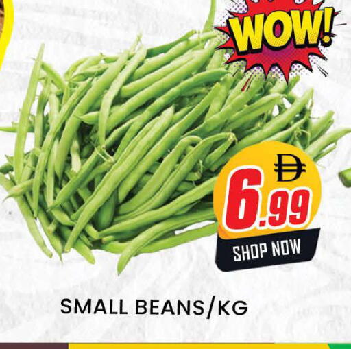 available at المدينة in الإمارات العربية المتحدة , الامارات - دبي