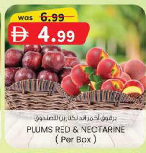 Plums Nectarine available at الصفا in الإمارات العربية المتحدة , الامارات - ٱلْعَيْن‎