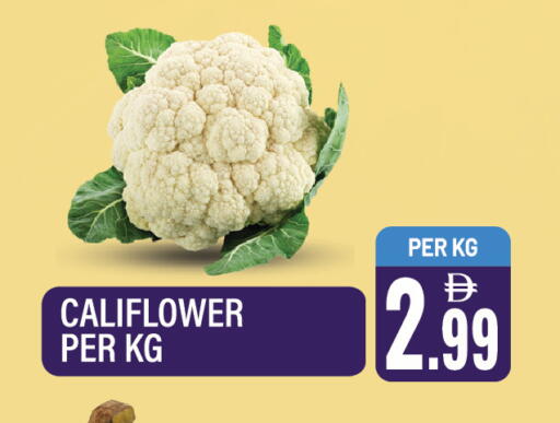 available at دريم لاند in الإمارات العربية المتحدة , الامارات - الشارقة / عجمان