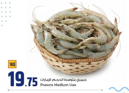 available at روابي هايبرماركت in قطر - الوكرة