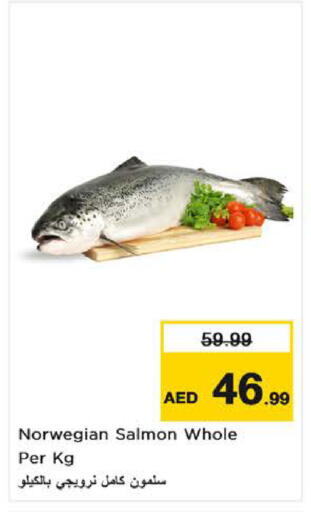 available at نستو هايبرماركت in الإمارات العربية المتحدة , الامارات - ٱلْعَيْن‎