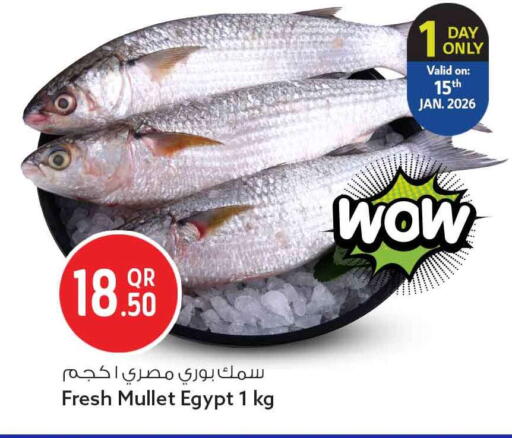 available at Safari Hypermarket in Qatar - Al Daayen