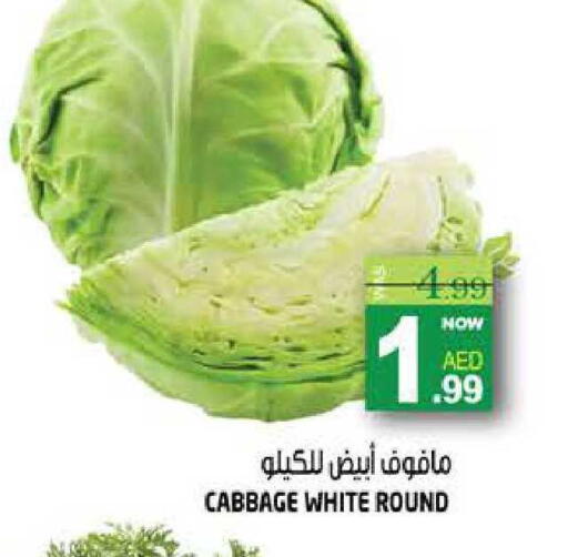Cabbage available at هاشم هايبرماركت in الإمارات العربية المتحدة , الامارات - الشارقة / عجمان