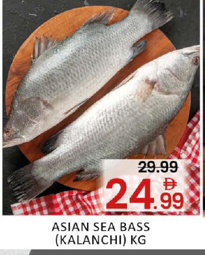 Mango available at مانجو هايبرماركت in الإمارات العربية المتحدة , الامارات - دبي