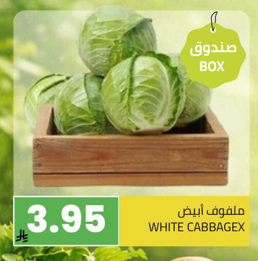 available at أسواق أسترا in مملكة العربية السعودية, السعودية, سعودية - تبوك