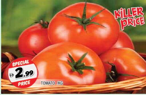 Tomato available at المدينة in الإمارات العربية المتحدة , الامارات - الشارقة / عجمان