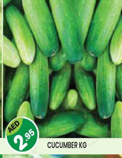 Cucumber available at Baniyas Spike  in UAE - Abu Dhabi