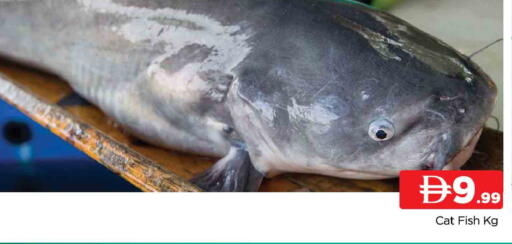 available at AL MADINA in UAE - Sharjah / Ajman