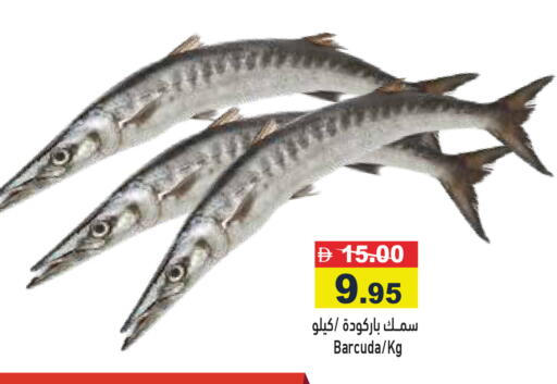 available at أسواق رامز in الإمارات العربية المتحدة , الامارات - أبو ظبي