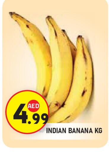 Banana from India available at سنابل بني ياس in الإمارات العربية المتحدة , الامارات - أبو ظبي