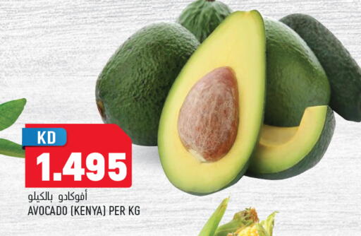 Avocado available at Oncost in Kuwait - Kuwait City
