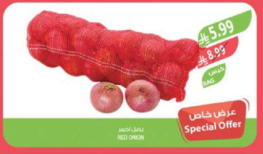 Onion available at المزرعة in مملكة العربية السعودية, السعودية, سعودية - جدة