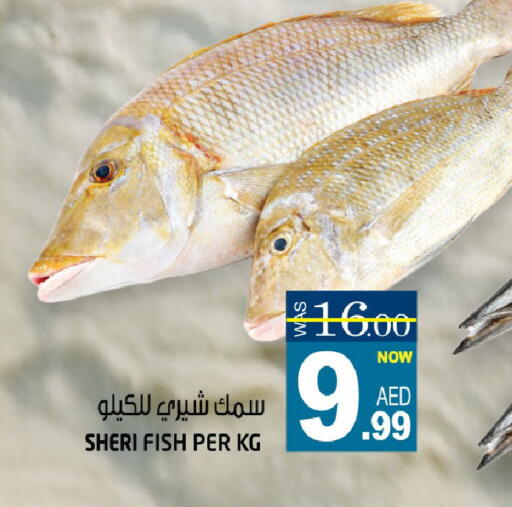 available at هاشم هايبرماركت in الإمارات العربية المتحدة , الامارات - الشارقة / عجمان