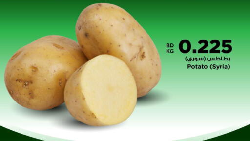 Potato from Syria available at أسواق الحلي in البحرين