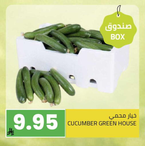 Cucumber available at Astra Markets in KSA, Saudi Arabia, Saudi - Tabuk