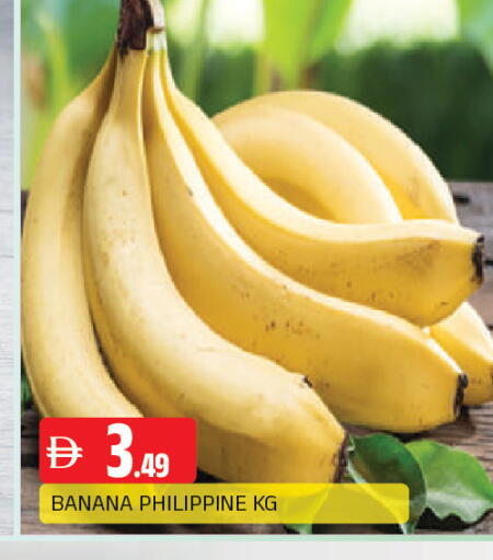 Banana available at المدينة in الإمارات العربية المتحدة , الامارات - الشارقة / عجمان