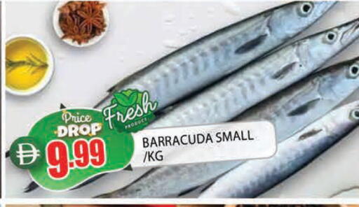 available at AL MADINA in UAE - Sharjah / Ajman