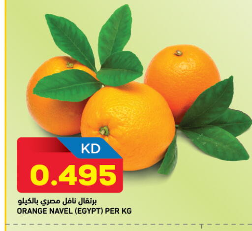 Orange from Egypt available at Oncost in Kuwait - Jahra Governorate
