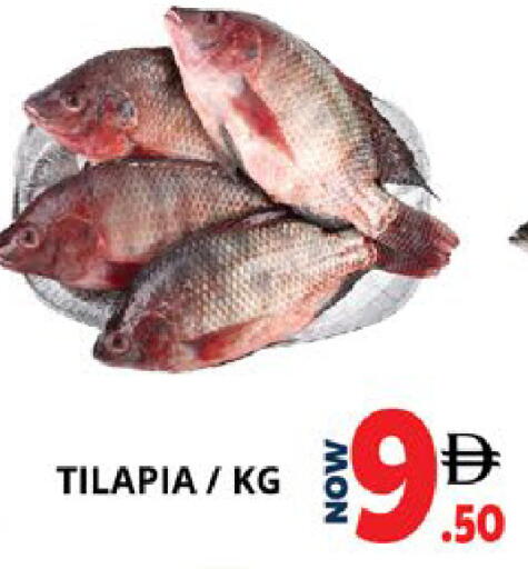 available at اكسبرس المدينة هايبرماركت in الإمارات العربية المتحدة , الامارات - أبو ظبي