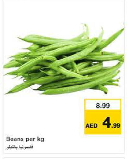 available at لاست تشانس in الإمارات العربية المتحدة , الامارات - ٱلْفُجَيْرَة‎