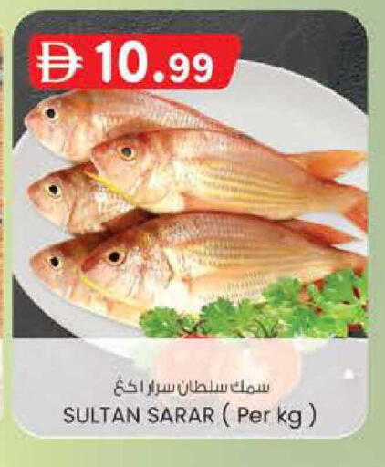 available at ك. إم. هايبرماركت in الإمارات العربية المتحدة , الامارات - أبو ظبي