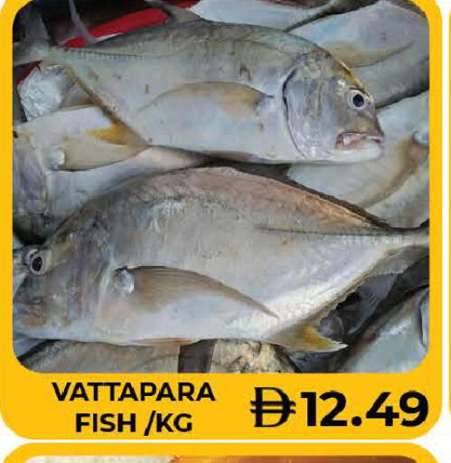 available at AL MADINA (Dubai) in UAE - Dubai