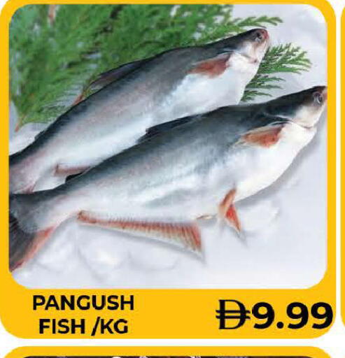 available at AL MADINA (Dubai) in UAE - Dubai