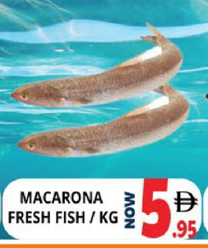 available at اكسبرس المدينة هايبرماركت in الإمارات العربية المتحدة , الامارات - أبو ظبي