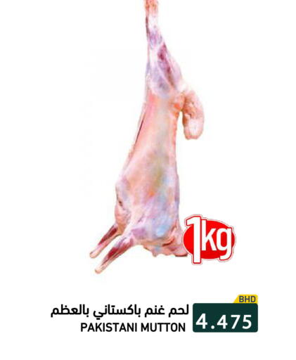 available at رامــز in البحرين