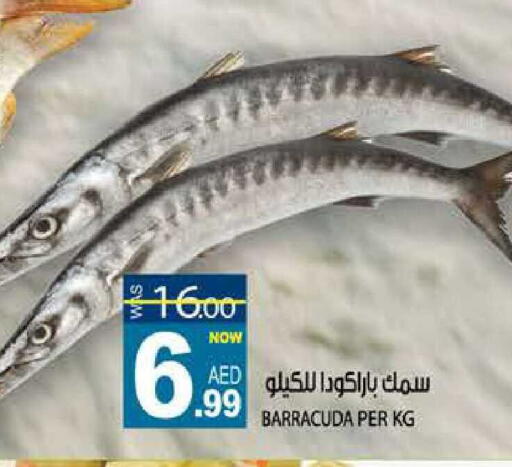 available at هاشم هايبرماركت in الإمارات العربية المتحدة , الامارات - الشارقة / عجمان